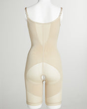 Load image into Gallery viewer, Vixen